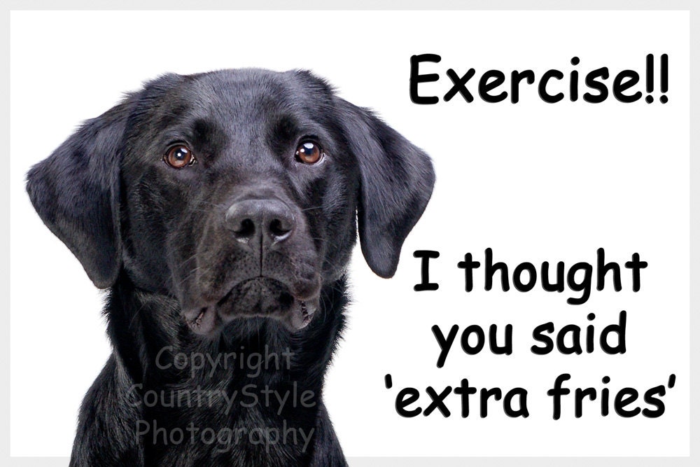 Black Labrador Dog Funny Fridge Gift