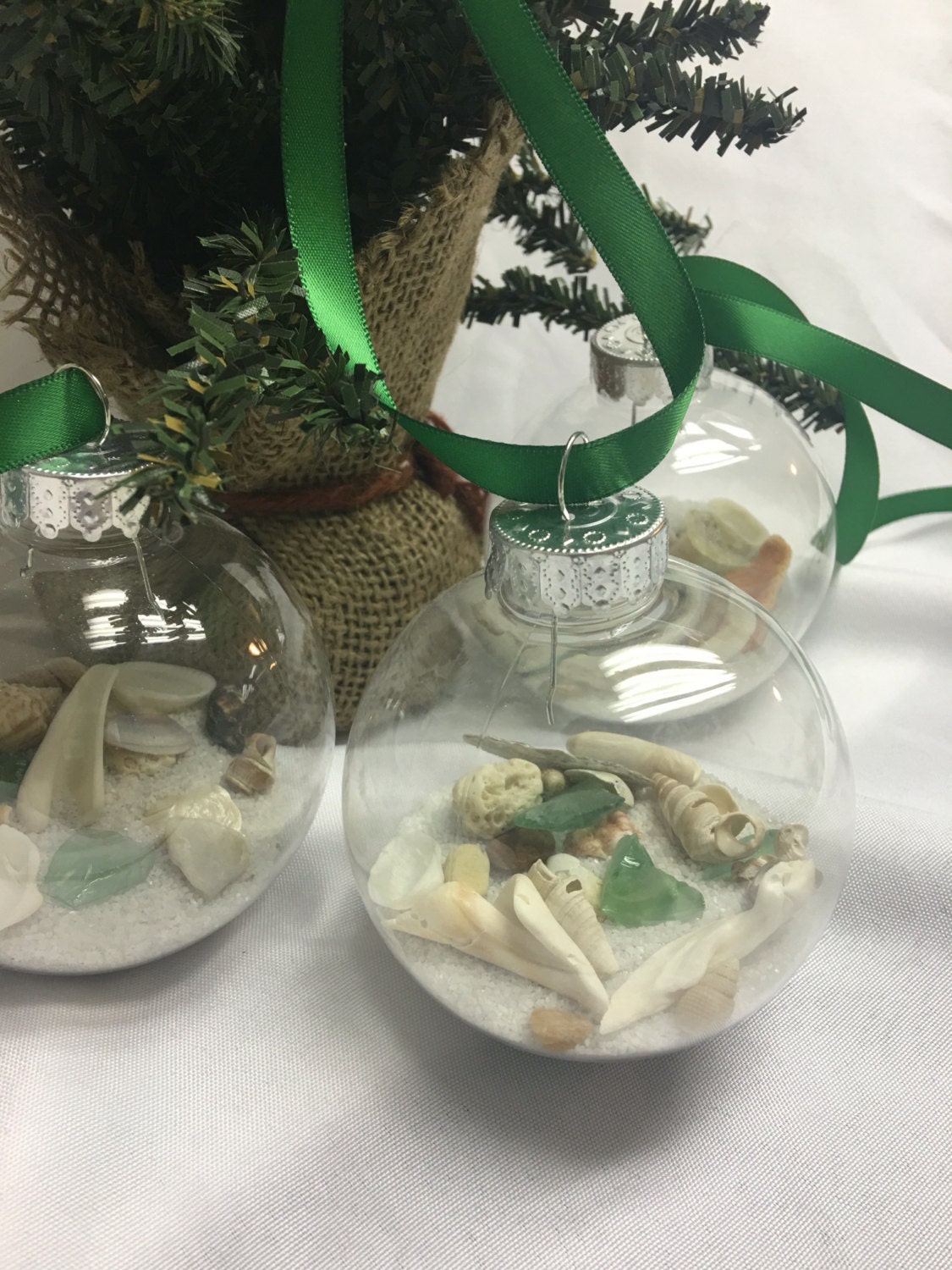 Seashell christmas ornaments coastal christmas holiday