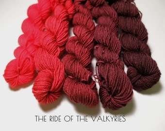 The RIDE of the VALKYRIES Mini Skein set 100% Superwash BFL