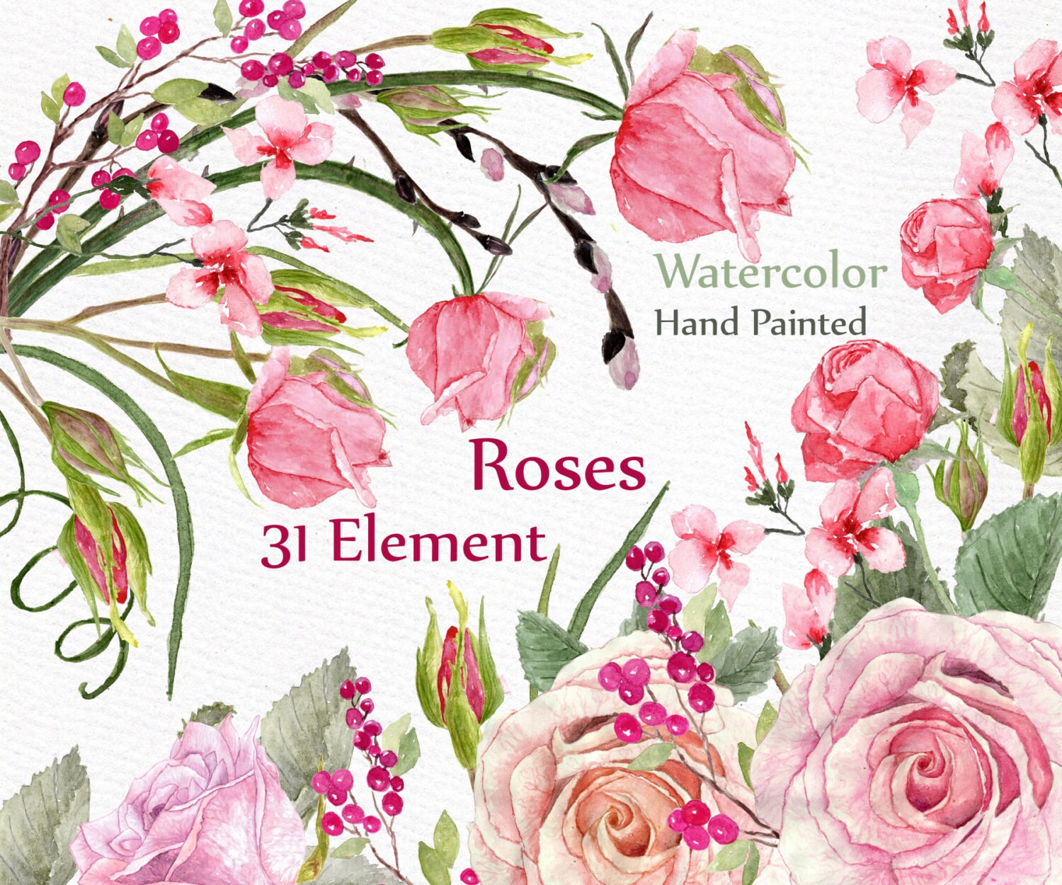 watercolor rose clipart - photo #9