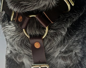The Leather Dog Harness