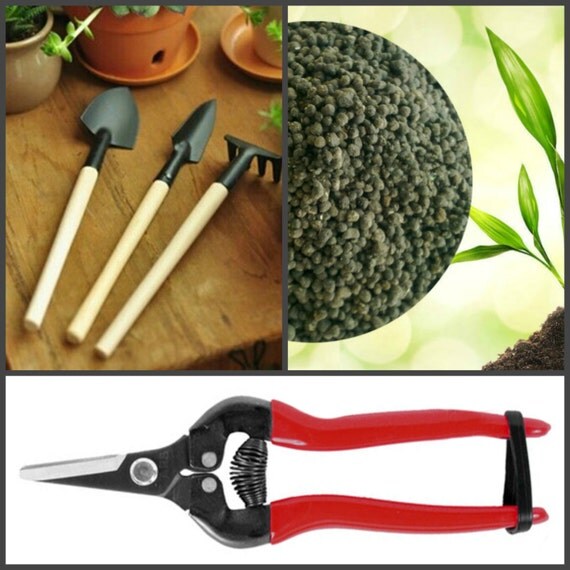 Bonsai Garden Tool Set Organic Slow Release Bonsai by bloomyHOME