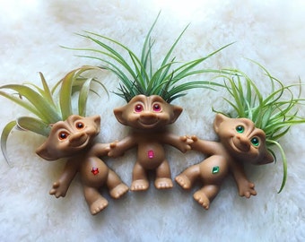 Adult Treasure Plantroll (Original Ace Troll Doll With Air Plant Hair)