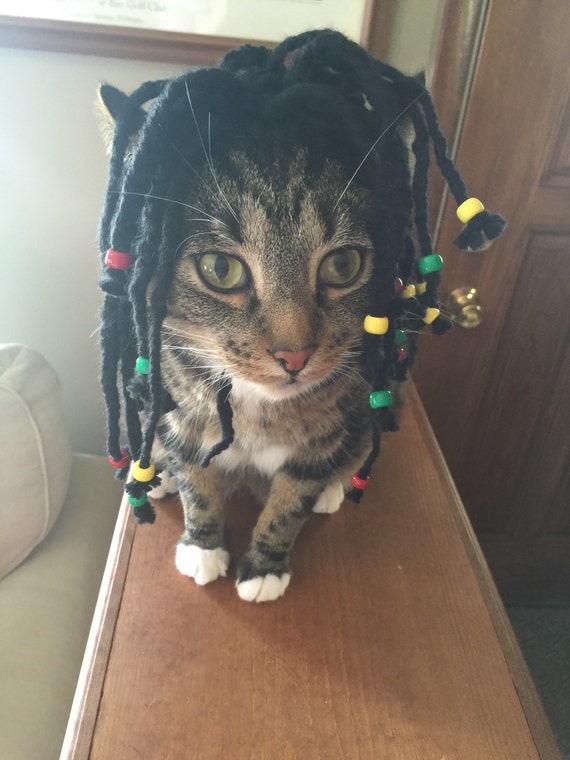 Dreadlock Cat Hat