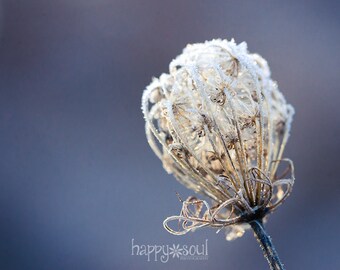 Ice Scepter