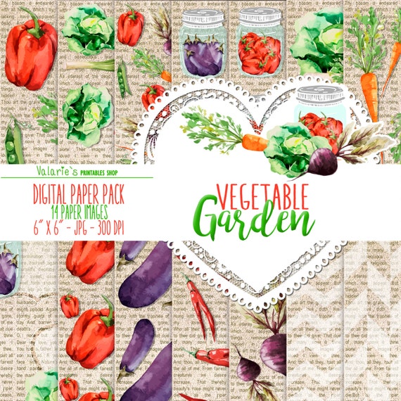 Vegetable Garden Digital Paper Pack Instant Download Printable Watercolor Vegetables Healthy Food Printable Green Red Purple Orange 6x6