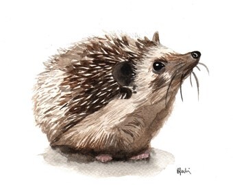 A5 Hedgehog Watercolour Print - Original Handmade Art Print