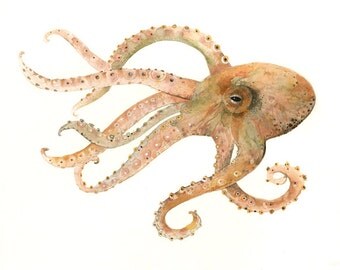 Octopus no. 2 Large Archival print of Watercolor painting