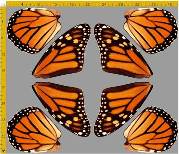 Orange Monarch Butterfly Wings Fabric for making Costume Fairy