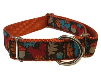 1" Squirrel Dog Martingale - Acorn Squirrels Dog Collar, Leash or Harness