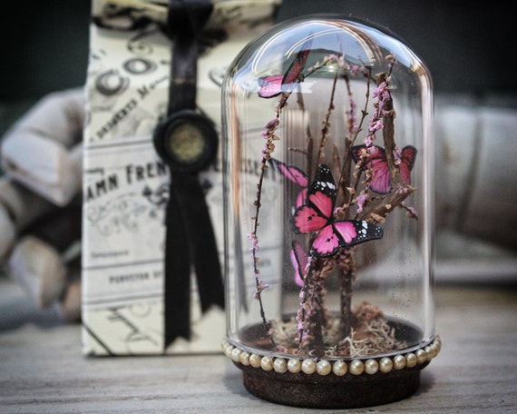 Butterflies Miniature GLASS Dome Natural by damnfrenchdesserts