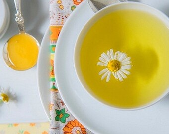 Organic German Chamomile Heirloom Herb Seeds