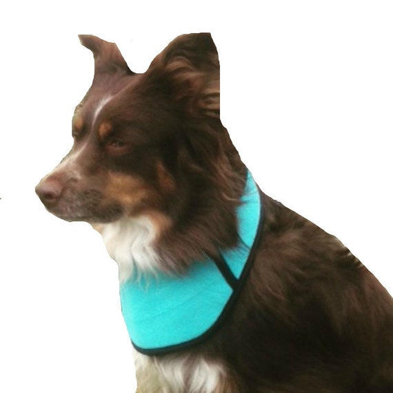 Dog Cool Collar with ice pocket for super cooling made by madebyde