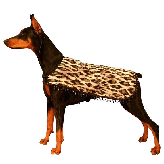Luxury Dog Cool Coat with beaded border custom made by madebyde