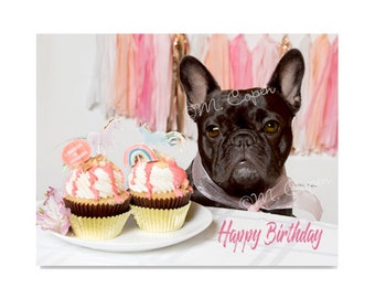 Happy Birthday French Bulldog Cards Set of 2 Cards