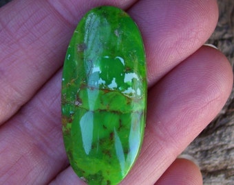 Mohave Green Turquoise Designer Cab