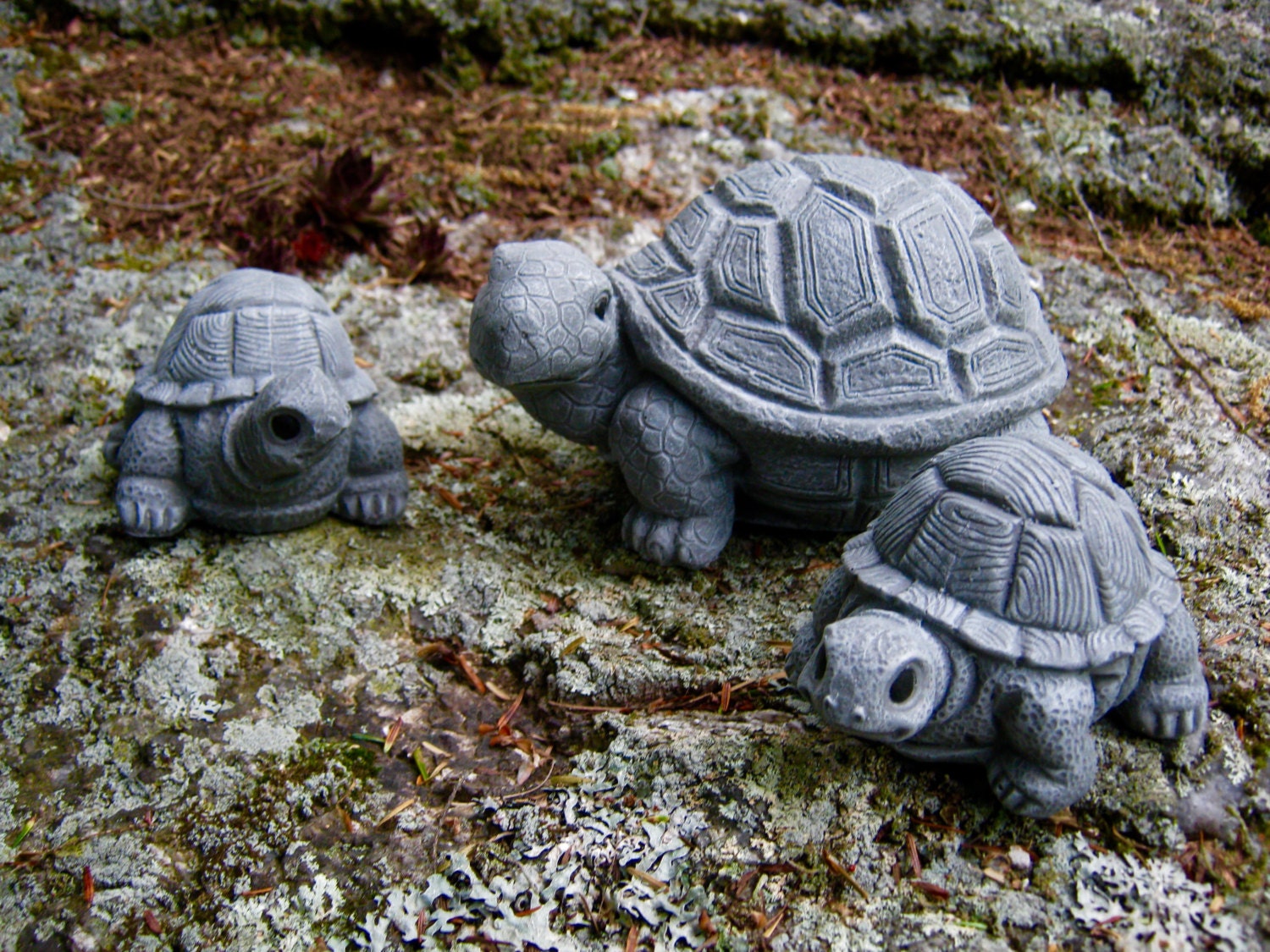 Turtle Statue Family Turtles Concrete Statues Concrete