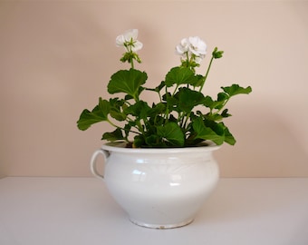 French antique Chamber pot - French Pottery, antique french Off-white pottery- French Planter