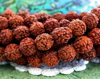 7 to 8mm Rudraksha Seeds, 108 Pieces Rudraksha Beads, Prayer beads, NAT-067-108