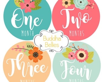 Baby Girl Monthly Stickers - Floral Month Stickers - Monthly Baby Stickers - Baby Decals - Baby Shower Gift - Baby Girl Stickers - Flowers