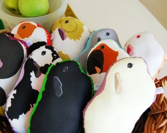 Choose Your Guinea Pig Plushie / Guinea Pig Pillow / Plush / Soft Sculpture / Original Illustration