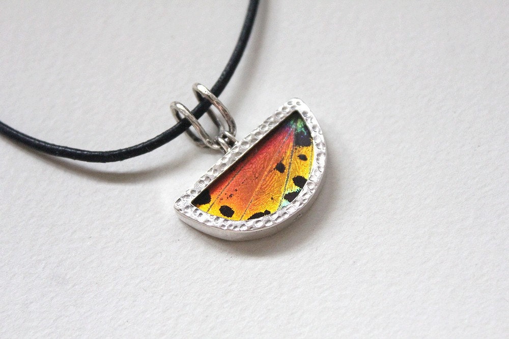 Real butterfly jewelry. Real butterfly by SilverTemptation on Etsy