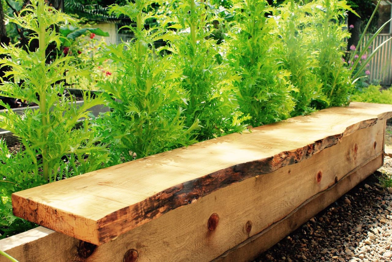 Wood Shelf w/ Natural Live Edge // Reclaimed Wood Shelf