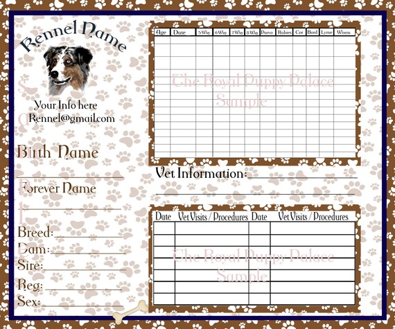 SET of digital Australian Shepherd Customizable Vaccination