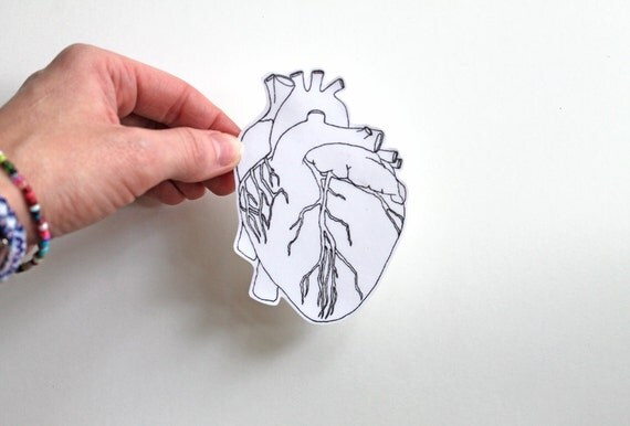 Anatomical heart heart sticker anatomical heart sticker