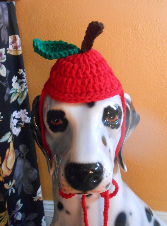 Crocheted Apple Hat for Large Dogs Big Dog Apple Hat