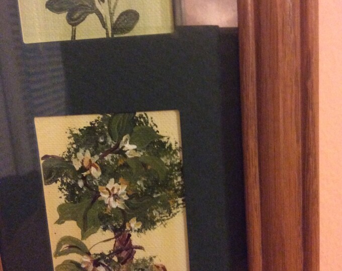 Trio of flowers, framed in oak