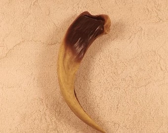 1 Resin Kodiak Bear Claw - 4 3/4" Replica Claw - For your Necklace project or Native American Craft - Rendezvous, Pow Wows, CL5