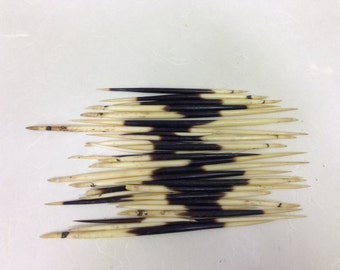 Porcupine Quill African Nature Made Natural Jewelry Crafts Design Indian Jewelry Tribal Jewelry Unique Sold lot of 2