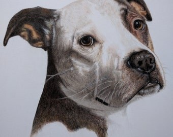 Custom Pet Portrait 11 x 14 Head Shot