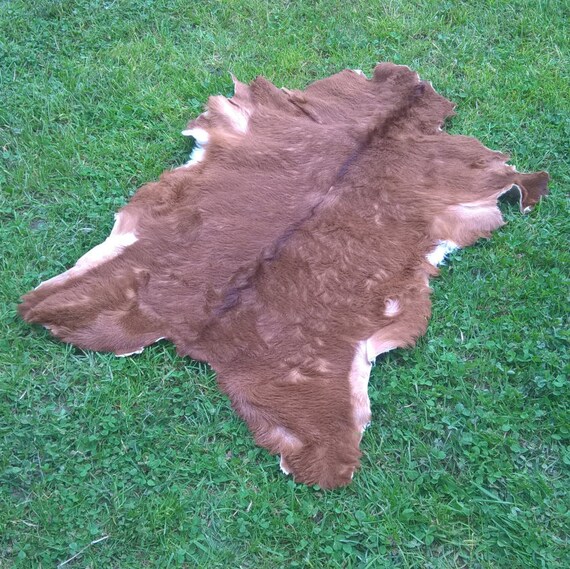 Goat skin rug hide pelt 100 natural brown by