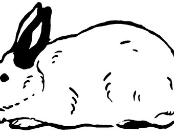 Items similar to CALIFORNIAN QUAIL on Etsy