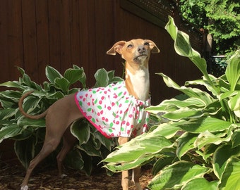 Dog Blouse - The MuMu Cherry Pie Blouse