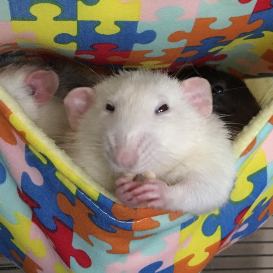 Rat Hammock Small animal beds chinchilla accessories degu