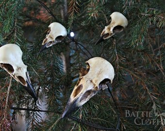 Corvidae collection raven crow magpie jackdaw bird skull decorations goth ornaments