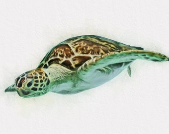 Sea Turtle Wall Art kids room wall art sea turtle wall art sea turtle canvas Sea Turtle Wall Art kids room wall art sea turtle wall art sea turtle canvas