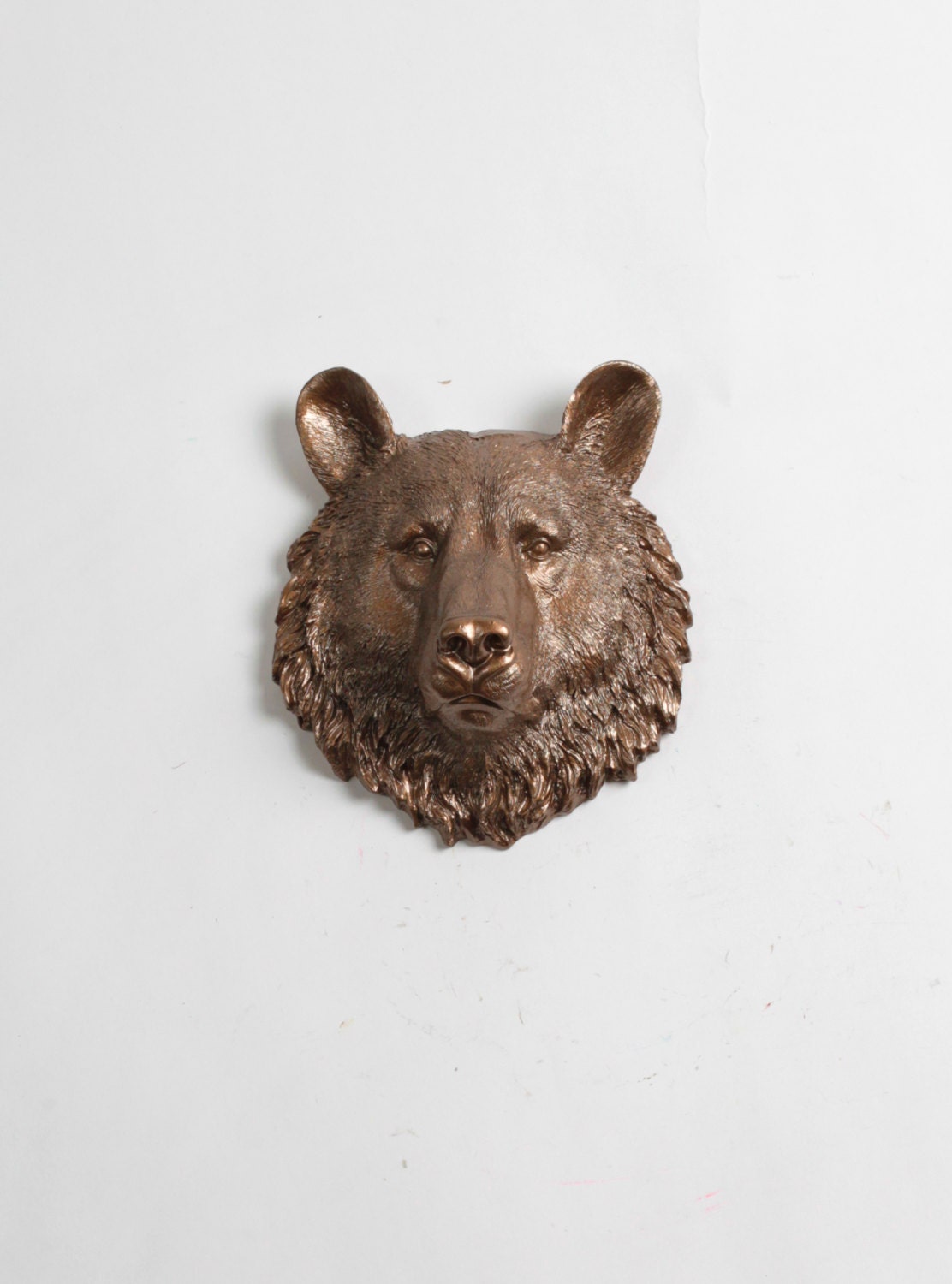 mounted bear head for sale