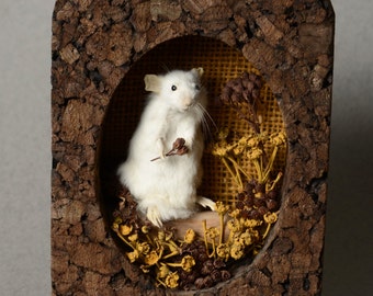 Taxidermy Mouse in Handmade Diorama
