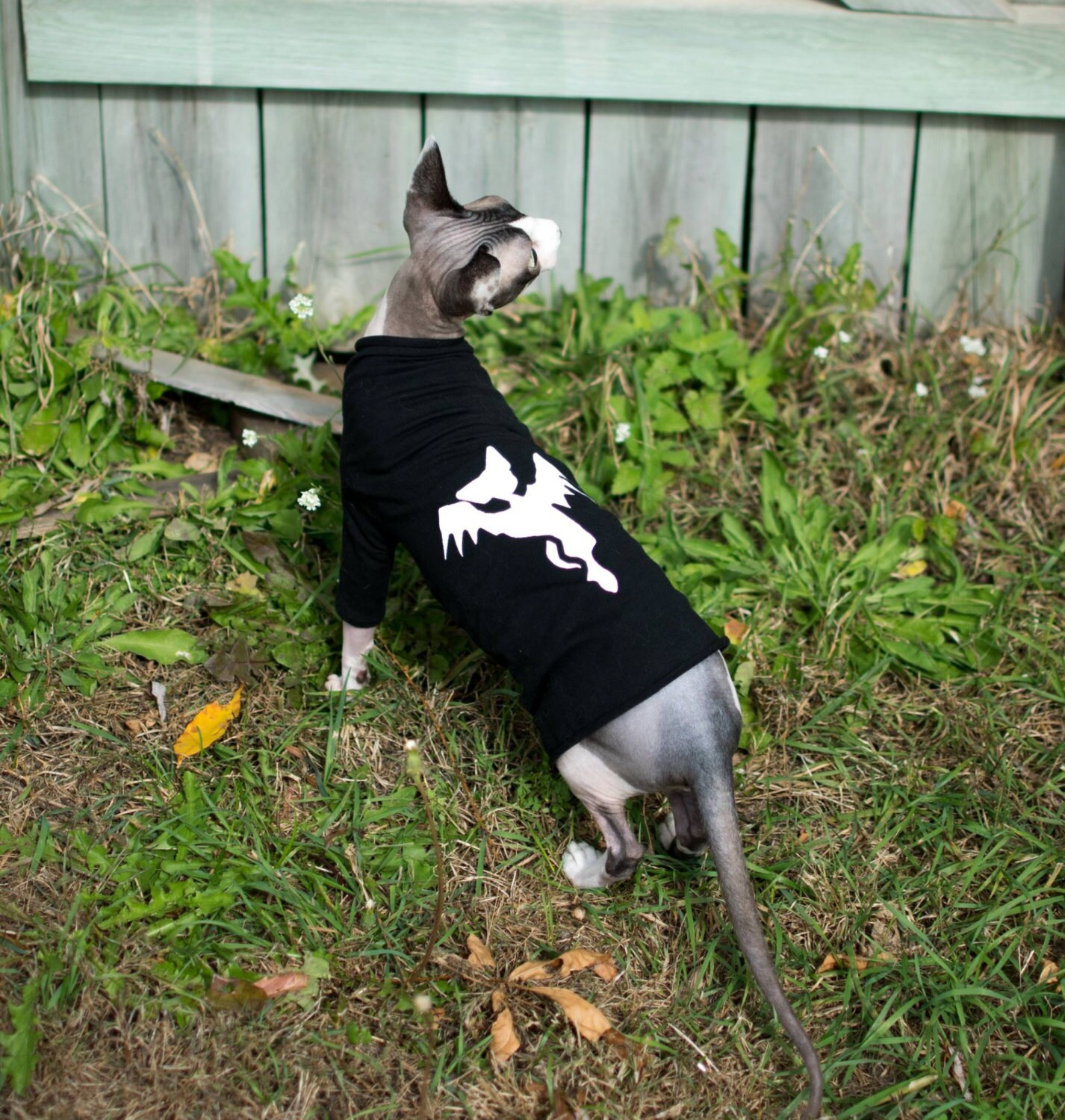 Cat Halloween Costume Sphynx cat clothes Costume by SimplySphynx