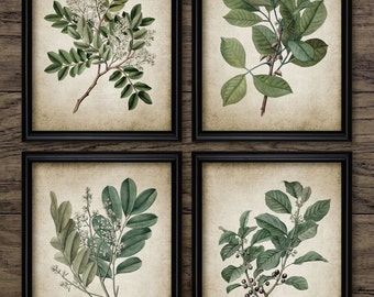 Green Plant Print Set of 4 - Vintage Leaves Botanical Art Decor - Green Digital Printable Art - Set Of Four Prints #676 - INSTANT DOWNLOAD