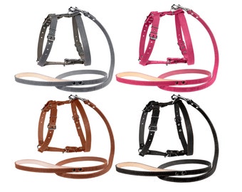 Leather Dog Harness and Leash Set Puppy Small Medium Large Pink Gray Black Brown