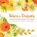 orange and yellow daisy watercolor clipart, floral graphic daisies with wreath and laurel, handpainted watercolor clipart by SLS Lines
