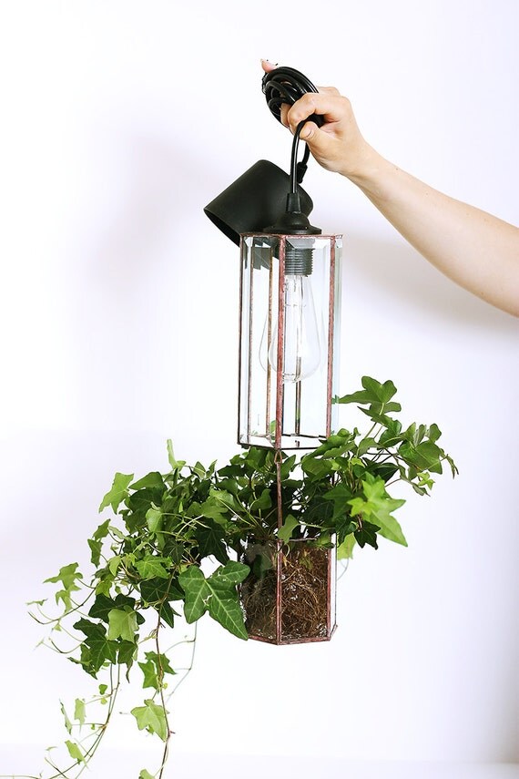 Pendant Light Planter