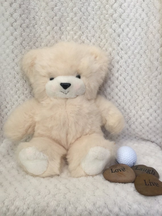 24k polar puff teddy bear