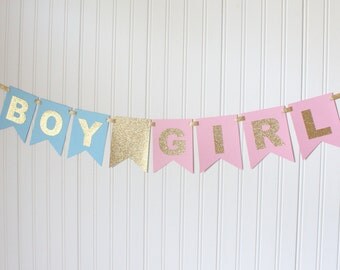 Gold, Pink & Blue Boy or Girl Banner/ Baby Shower/ Gender Reveal/ Party Decorations/ New baby/ Party decoration/ Custom/ Gold baby shower