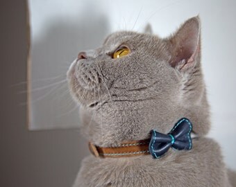 Collier noeud chat
